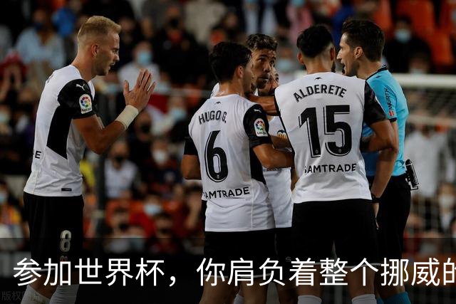 参加世界杯，你肩负着整个挪威的期望！哈兰德：我喜欢这样